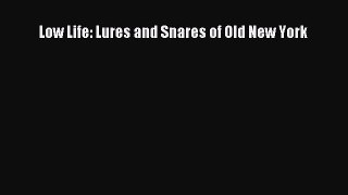 Read Book Low Life: Lures and Snares of Old New York E-Book Free