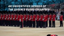 A soldier fainted during the Queen's 90th birthday celebration