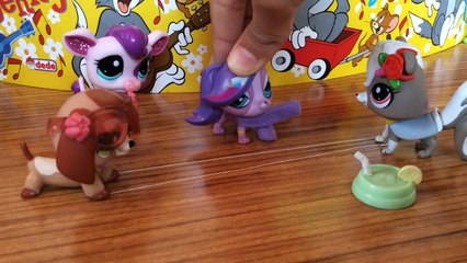 Minişler Mızıkçı Miniş Zoe | CUPCAKE TV