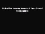 [Download] Birds of San Salvador Bahamas: A Photo Essay of Common Birds Ebook Free