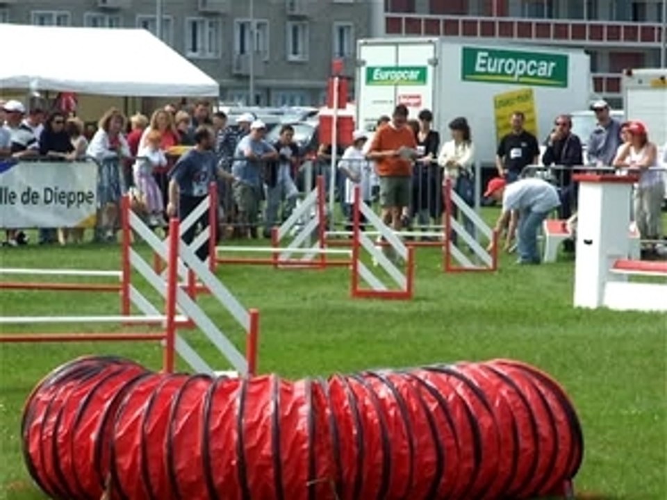 2007_0708agility0006