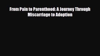 PDF From Pain to Parenthood: A Journey Through Miscarriage to Adoption  Read Online