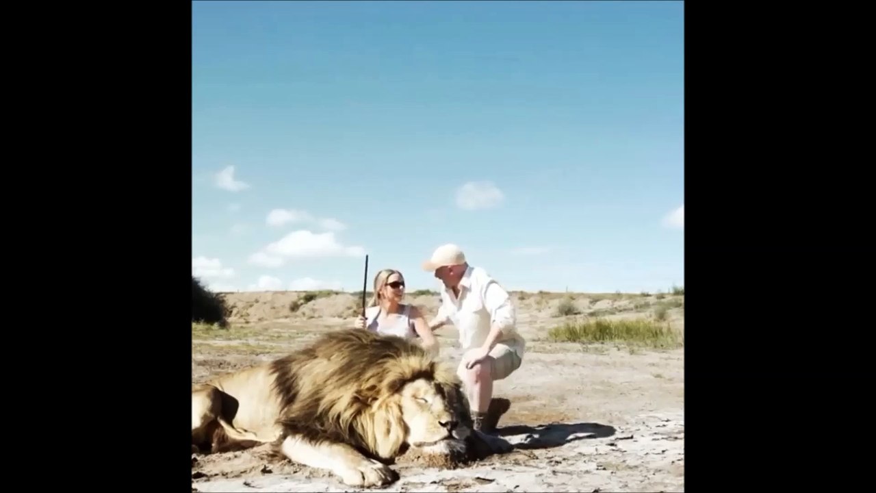 مجمع