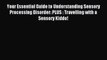 Read Your Essential Guide to Understanding Sensory Processing Disorder: PLUS : Travelling with