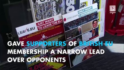 Poll shows Britons back EU membership