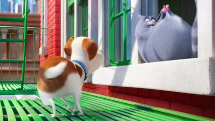 The Secret Life Of Pets - Clip - Max Complains