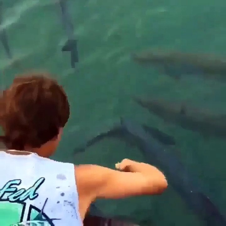 Amazing Video