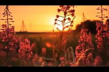 Pashto Trana Sani Qalamyar Ka Musolman Ee Bad Ba Na Kawi New 2016