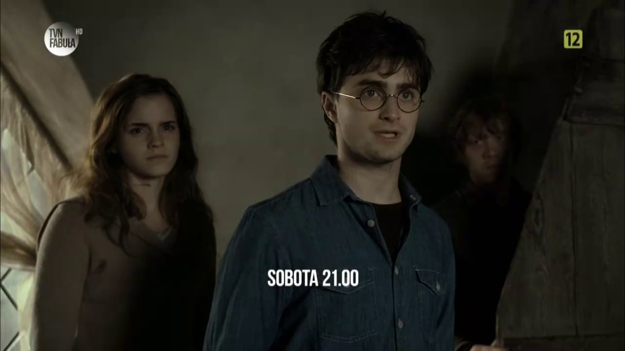 Harry Potter i Insygnia Śmierci część 2 TVN Fabuła zapowiedz (grudzień/styczeń 2015/2016)