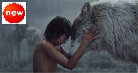 | JUNG BOOK 2016 |_video 2_by Greg Laurie