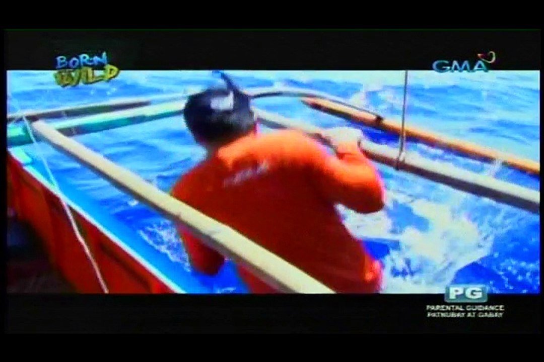 Born To Be Wild - June 12, 2016 Part 1