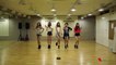 140901 EXID(이엑스아이디) - Up & Down Dance Practice (Sexy Ver.)