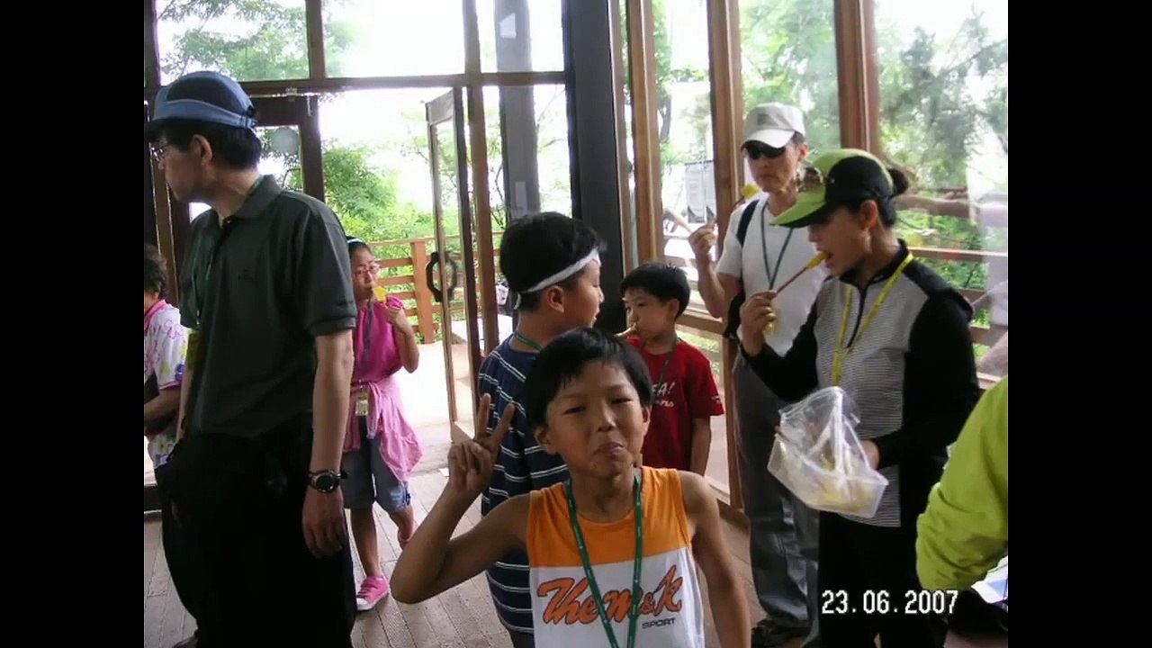 2007 06 23 은행나무 북악산 숙정문