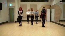 151207 EXID(이엑스아이디) - HOT PINK Dance Practice