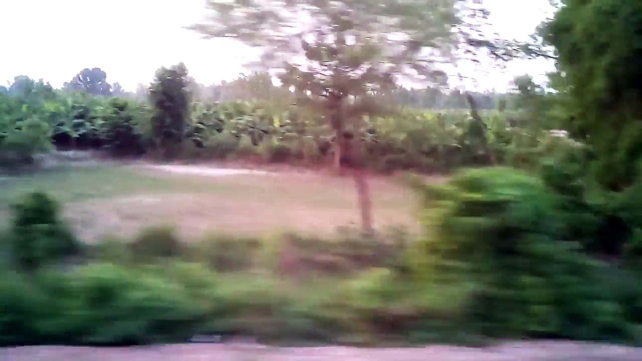 Train journey