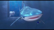 FINDING DORY Movie Clip - You're A Beluga (2016) Ellen Degeneres Pixar Disney Movie HD