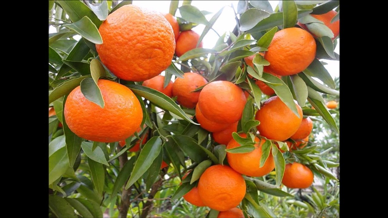 Salaijo Song beautiful scenery w-Nepal Nepal,