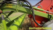 Modern Agriculture Machainery 8 Maishäcksler in use chopping Claas & Krone and  Claas Case John Deer