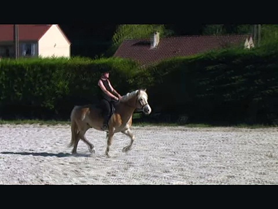 11.06.26 Fête du club HorseBall.wmv