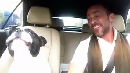 Interesting videoclip of interesting