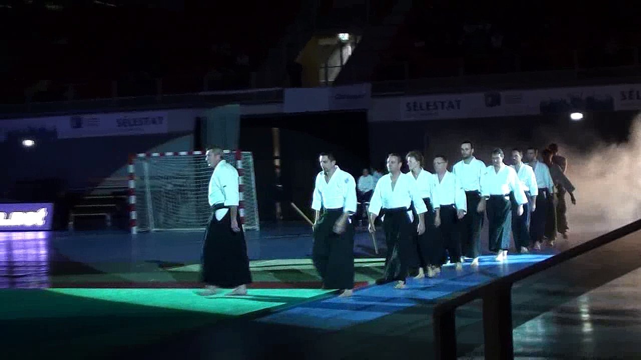 Démonstration au Gala des Arts Martiaux (Sélestat, 2011)