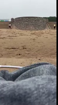 Seagull Snatches an iPhone on English Beach
