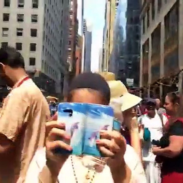 Jagannaatha Ratha Yatra in USA | New York City | 10-06-2016