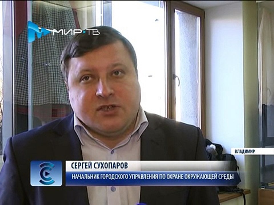 Спасти деревья на Октябрьском проспекте нельзя — там будет срублено 28 лип