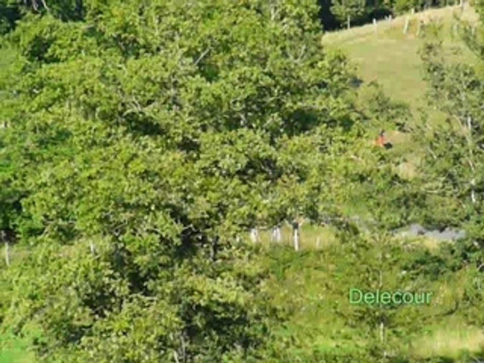 Rallye du Rouergue 2007