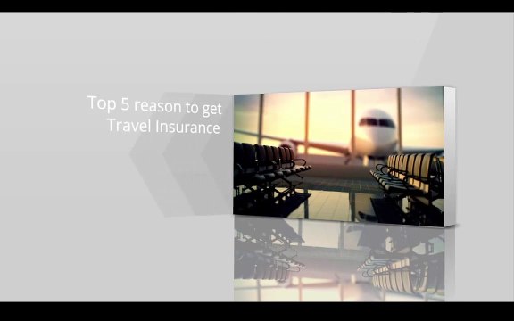 Affordable Insurance: Keep your pet safe. Buy Pet insurance.