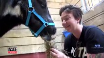 Salvano Un Pony Con Il Muso Sfigurato Da Una Vita Di Violenze: Ecco Come Reagisce... Wow!