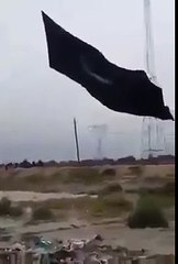 mojza in karbala 2015 -