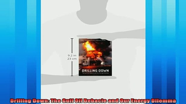 Enjoyed read Drilling Down The Gulf Oil Debacle and Our Energy Dilemma