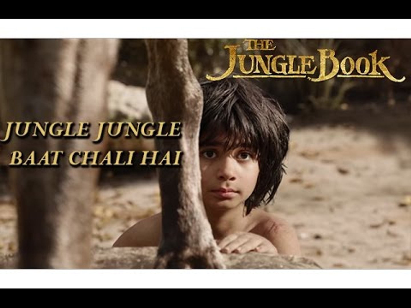 Jungle Jungle Baat Chali Hai Song : Beautifully Composed By Vishal  Bharadwaj With Gulzar’s Lyrics
