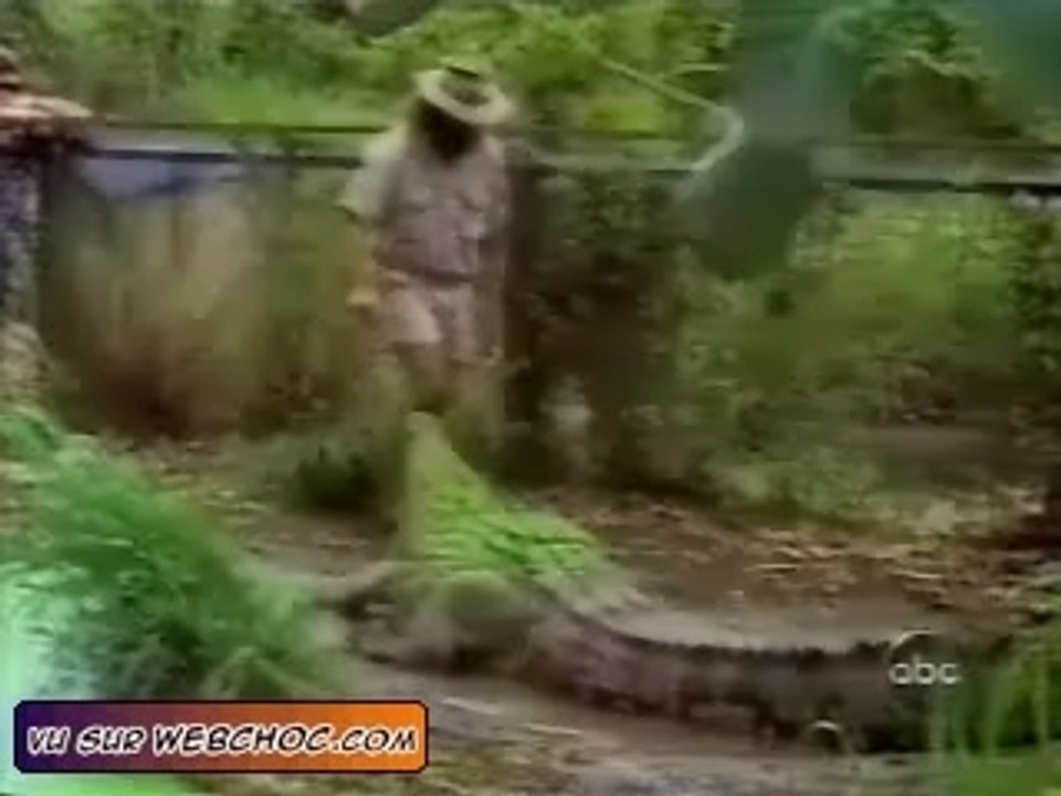 1cee5570e7828e8e2a55269fc3f5c649_falls[1208695]