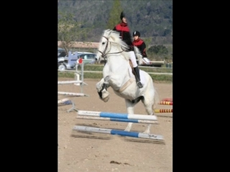 LE CONCOURS