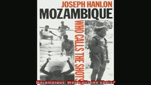 Enjoyed read  Mozambique Who Calls the Shots