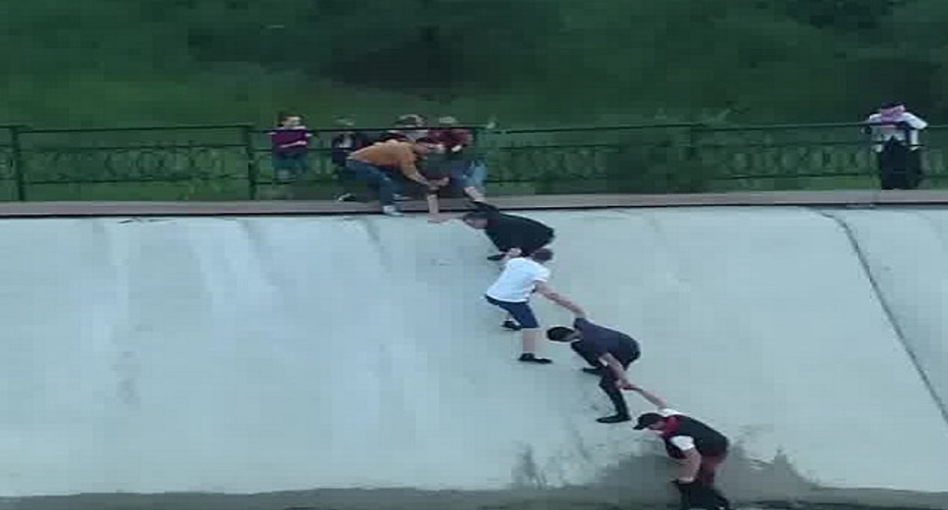 Des hommes se donnent la main pour sauver un chien tombé dans une rivière