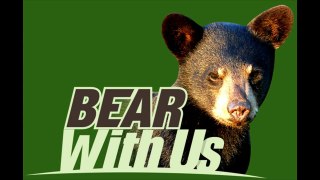 Cubs are Cubs, Nov 29 2012 Bear With Us video
