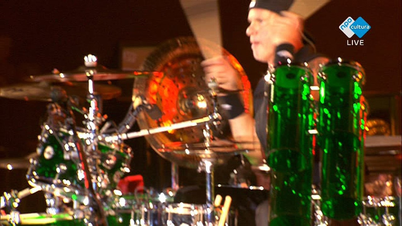 Red Hot Chili Peppers - Dani California