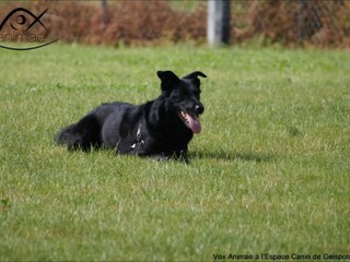 Vox Animae à l'ECG de Geispolsheim