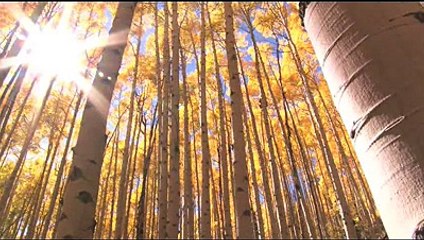 Rozay mein hikmat Shaykh Zulfiqar Ahmed