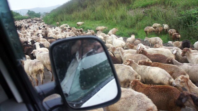 По дороге в село Хндзристан (НКР, Арцах)