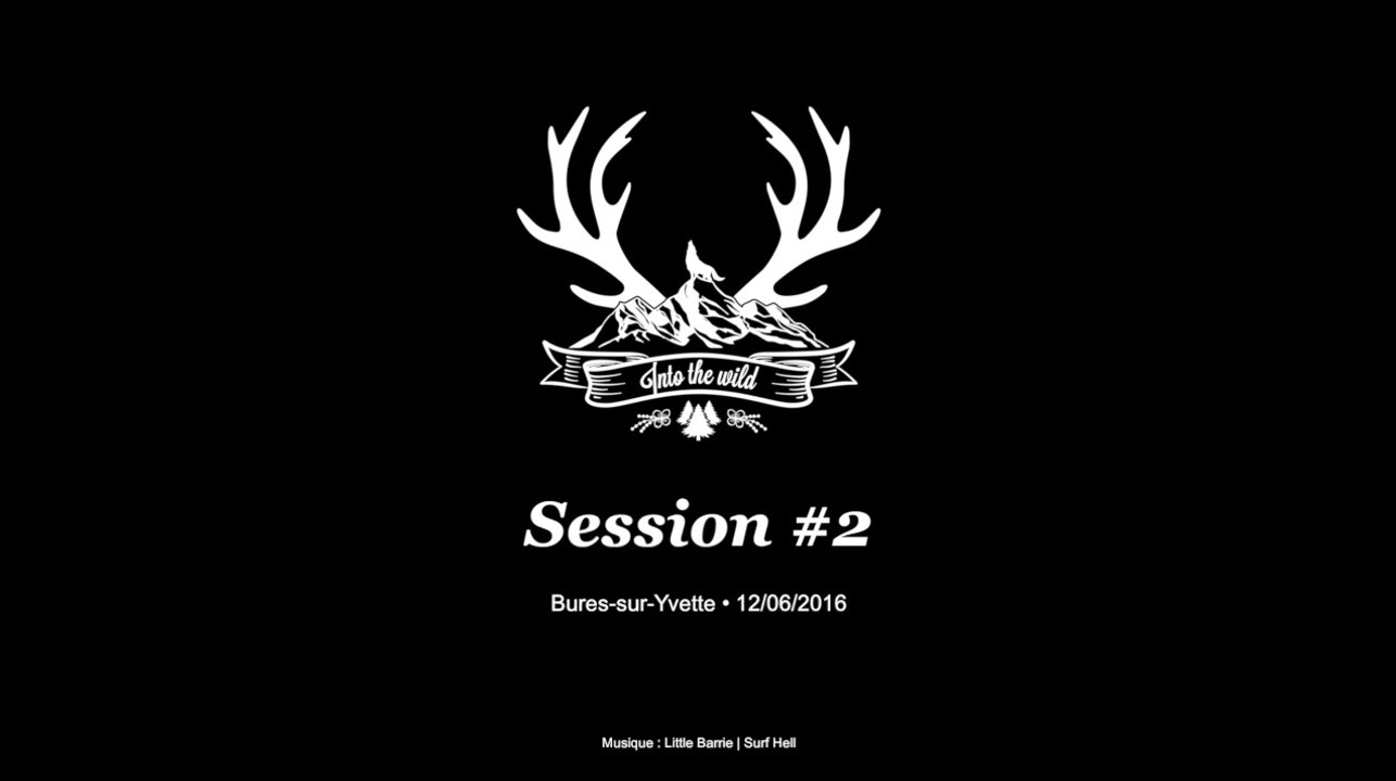 Into The Wild 2nd Session