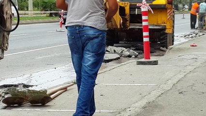 İş Makinelerinin Muhteşem İş Birliği 🏗️