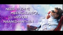 New Tamil Movie Kabali || Maya Nadhi Song with Lyrics || Rajinikanth || Pa Ranjith || Santhosh Narayanan