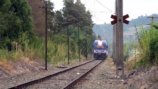 TLD-504 con destino a Victoria en las cercanías de Cajón - 23/01/2012