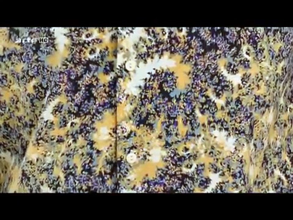 Fraktale Die verborgene Ordnung der Natur Mandelbrot und seine Welt (360p_30fps_H264-128kbit_AAC)