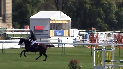 Dora - CSI Amateur 115 Chantilly 24/04/15