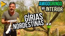 GÍRIAS E EXPRESSÕES NORDESTINAS | AMIGO GRINGO NO INTERIOR #4